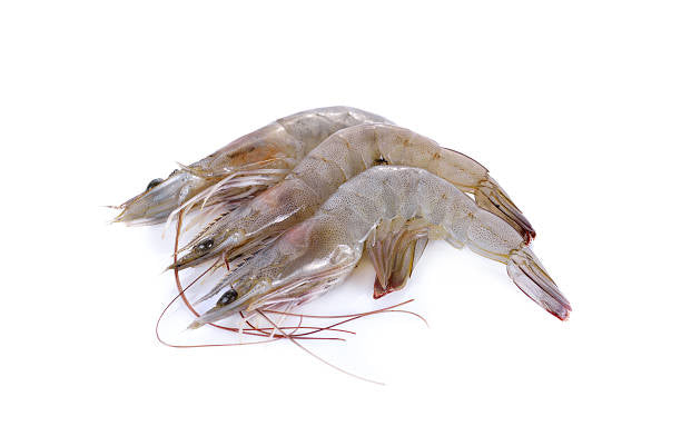 White Tiger Prawns ( clean & deveined )