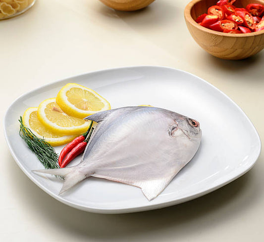 White Pomfret